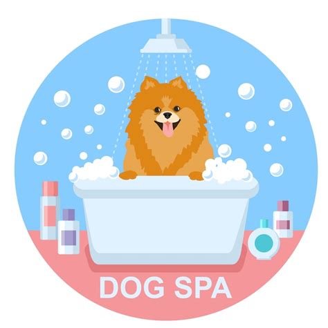 Premium Vector Dog Grooming Dog Spitz Wash Dog Spa