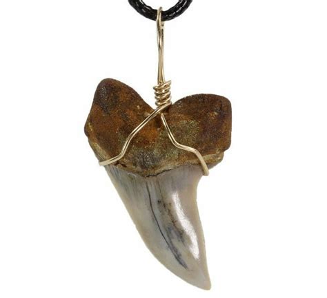 Fossil Mako Tooth Necklace Bakersfield California For Sale