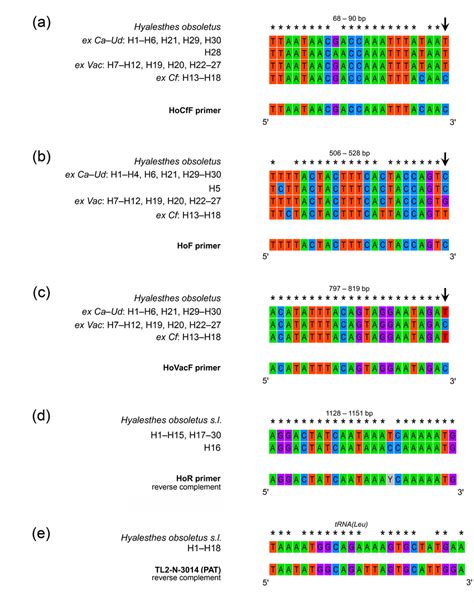 Primer Positions And Nucleotide Variation On MtDNA COI Gene And