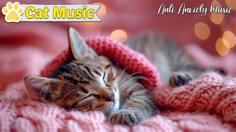 Lullaby For Cats Hour Stress Relieving Music For Cats Cats