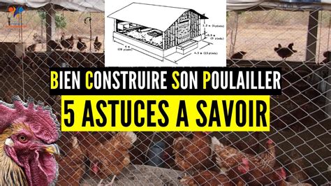 Reussir La Construction De Son Poulailler Facteurs D Terminants