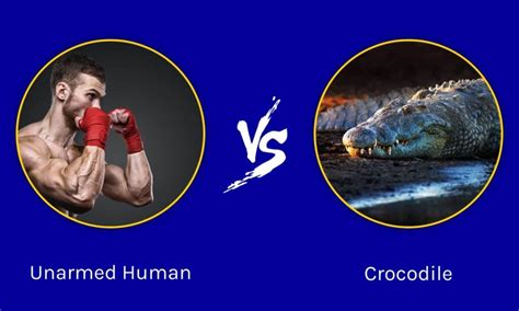 Could an Unarmed Human Beat a Crocodile? - A-Z Animals