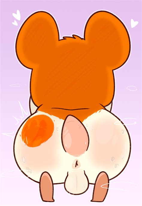 Rule 34 Anus Ass Balls Big Butt Bodily Fluids Crushpepper From Back Genitals Hamtaro Hamtaro