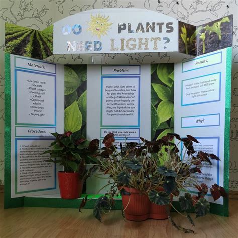 Science Fair Projects Growing Plants in 2024 | Science fair projects, Cool science fair projects ...