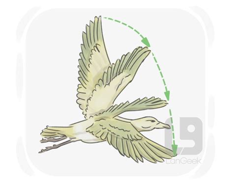 definition meaning  flap  english picture dictionary