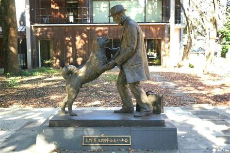 Meet Hachiko 5 Places Related To Japans Famous Loyal Dog Matcha