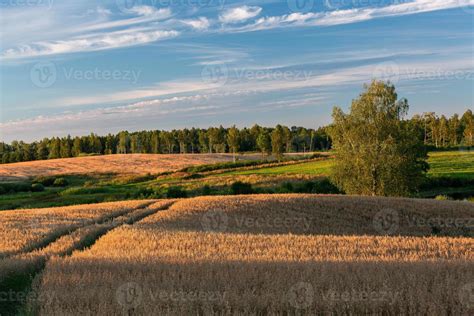 Latvian summer landscapes 17111278 Stock Photo at Vecteezy