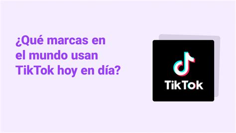 Plantillas De Zona Segura Para TikTok Y Reels Hambre Digital