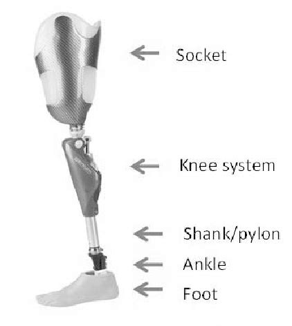 Components Of Advanced Lower Limb Prosthesis Photo Courtesy Of Otto