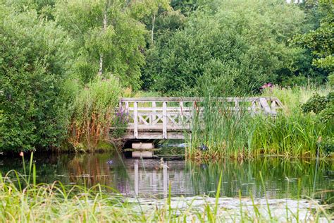 Bridge & Pond Free Stock Photo - Public Domain Pictures