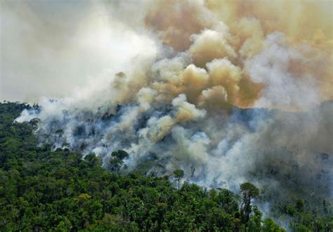 Emissões De Gases Estufa Do Brasil Em 2021 Têm Maior Alta Em 19 Anos