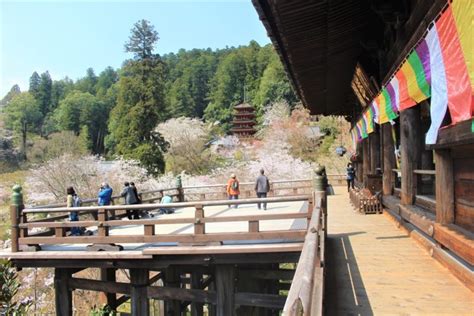 長谷寺（奈良県）｜登廊（階段）＆花（桜・ボタンなど）が有名な西国三十三所8番 現地レポ 西国三十三所 初心者ガイド