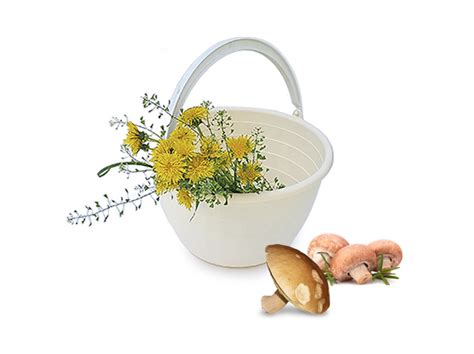 Ведро 5 литров "ЛУКОШКО" - купить по низкой цене в интернет-магазине ...