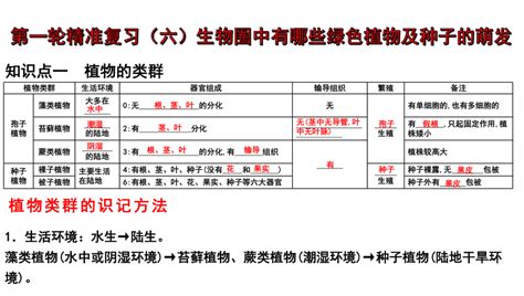 专题 生物圈中有哪些绿色植物及种子的萌发 2024年中考生物一轮复习精品课件共21张ppt 21世纪教育网