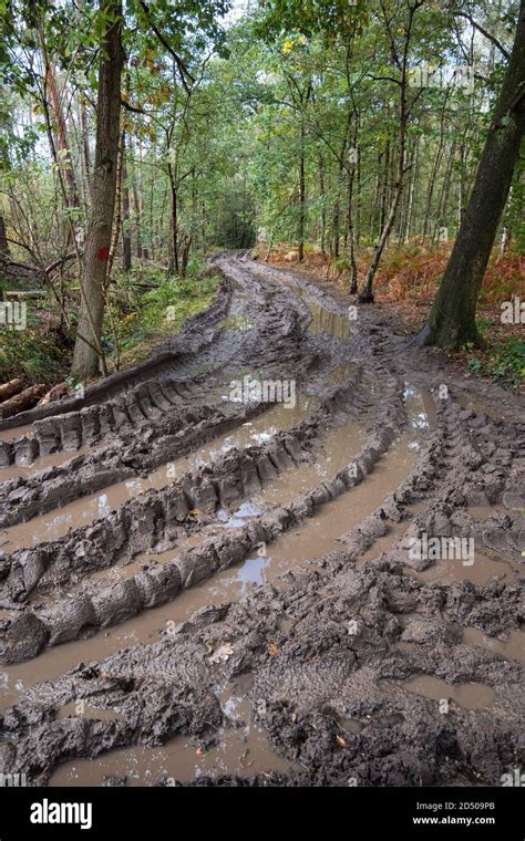 Muddy Autumn Road Hi Res Stock Photography And Images Alamy