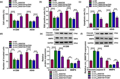 Propofol Mediated Circ Downregulation Restrains Tumor Growth By