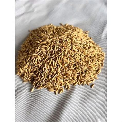 Brown NDLR 7 Hybrid Paddy Seeds For Food Processing Packaging Type