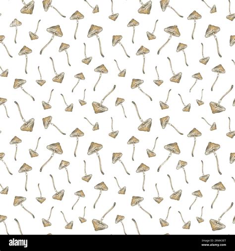 Watercolor Seamless Pattern With Poisonous Mushrooms Hand Drawn