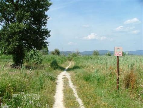 Grande Anello Del Trasimeno Bicicle Itinerary Lago Trasimeno