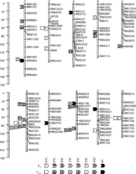 Genetic Linkage Map Showing The Most Likely Positions Of Qtls For The