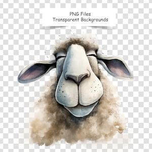 Cute and Funny Sheep Faces 10 PNG Clipart Bundle Commercial Use Funny ...