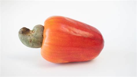 Cashew Apple Fruit