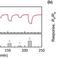 Gas Sensor Characterization A Transient Response Of Sensor Resistance