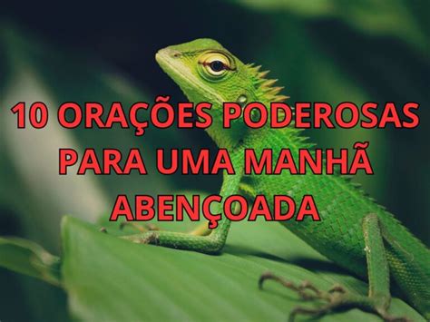 10 Orações Poderosas para uma Manhã Abençoada Minuto de Oracao