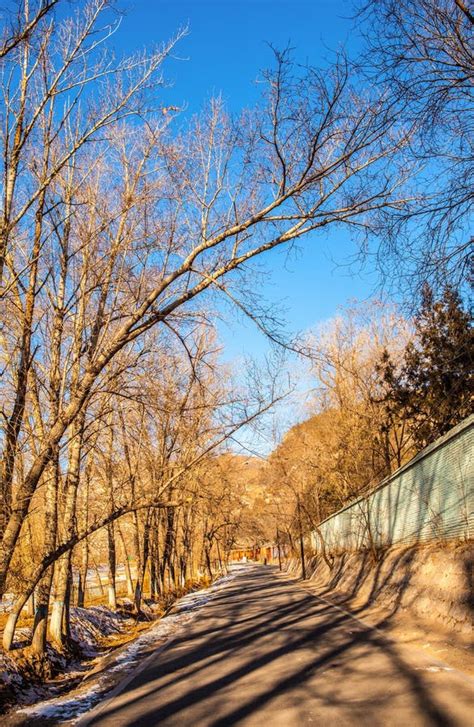 Early Winter Scene in the Northern China Stock Photo - Image of early, outskirt: 43376968