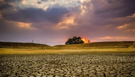 Agotamiento De Los Recursos Naturales Causas Efectos Y Soluciones