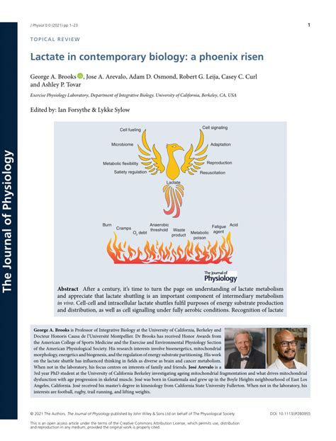 PDF Lactate A Phoenix Rising In Contemporary Biology