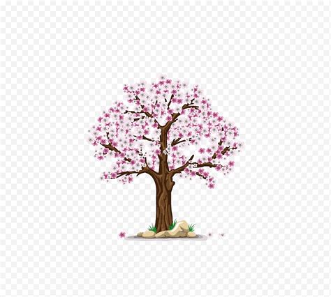 Descarga Gratis Flor De Cerezo Manzanas Cerezas Rama Rbol Frutal