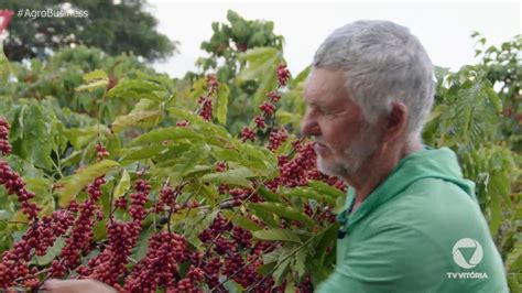 Espírito Santo é o maior produtor de Café Conilon do Brasil