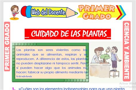 Cuidado De Las Plantas Para Primer Grado De Primaria Web Del Docente