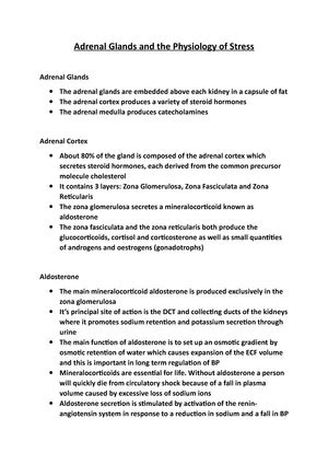 Control Of Sex Determination Notes The Three Main Stages Of Sex