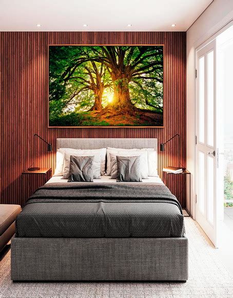 Quadro Rvores Luzes Do Sol Floresta Canvas Moldura X Elo