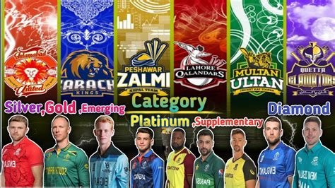 Psl 9 2024 Category List Players Silver Diamond Platinum