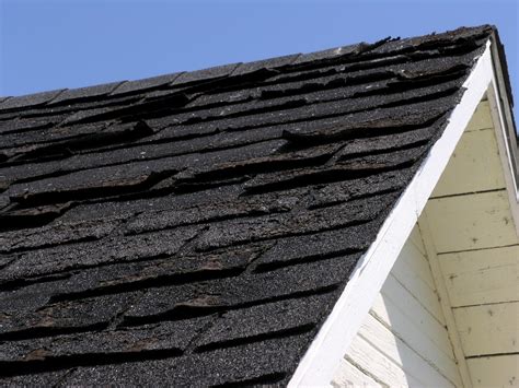 What Causes Blistering on Roof Shingles? | SUNVEK