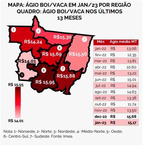 Preço da arroba do boi e da vaca teve a maior diferença da série em MT