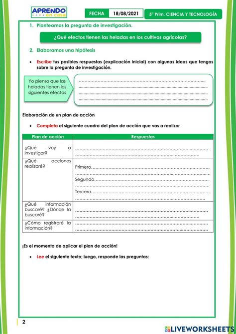 Conocemos Los Efectos De Los Fenómenos Naturales En Los Cultivos Worksheet Live Worksheets