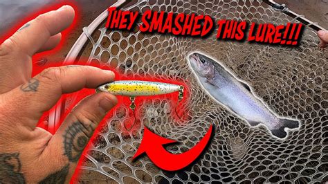 Trout On Topwater Lures INSANE BLOWUPS At Fontburn Reservoir YouTube