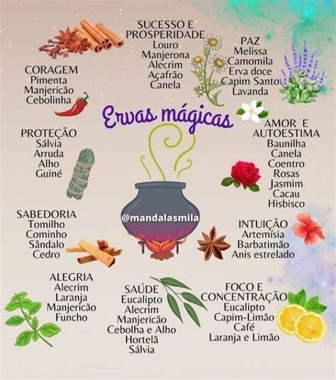 Veja Como A Aromaterapia Pode Te Ajudar Green Witch Natural Herbs