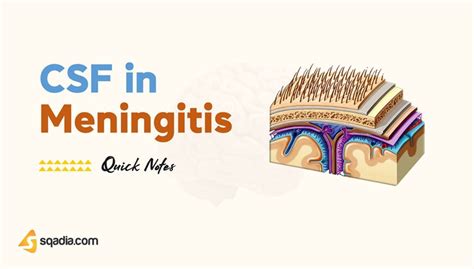 CSF in Meningitis | Infectious Medicine | Pathology Lecture - sqadia.com