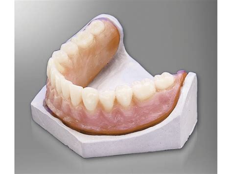 Silicone Dental Material Molloplast B DETAX GmbH Co KG For