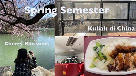 A Week In My Life Kuliah Di China Cherry Blossoms Kelas Film