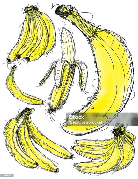 Sketsa Pisang Ilustrasi Stok - Unduh Gambar Sekarang - Buah, Clip art ...