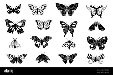 Black Butterflies Decorative Butterfly Silhouettes Winged Insect