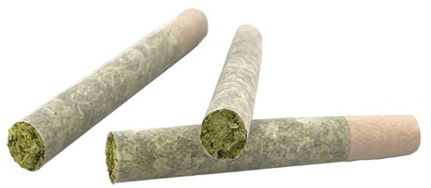 Infused Joints Raw Garden™