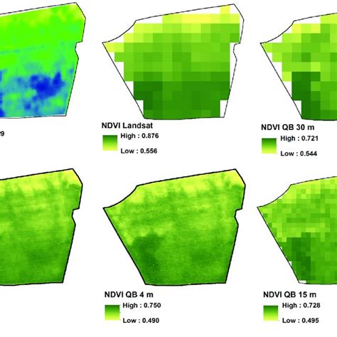 Normalised Difference Vegetation Index Ndvi Values According To