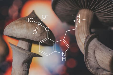 Psilocybin treatment at Avante Ibogaine Treatment Clinic